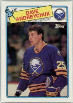 Dave Andreychuk #163
