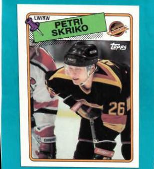 Petri Skriko #137