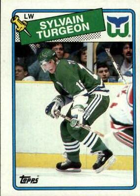 Sylvain Turgeon #24