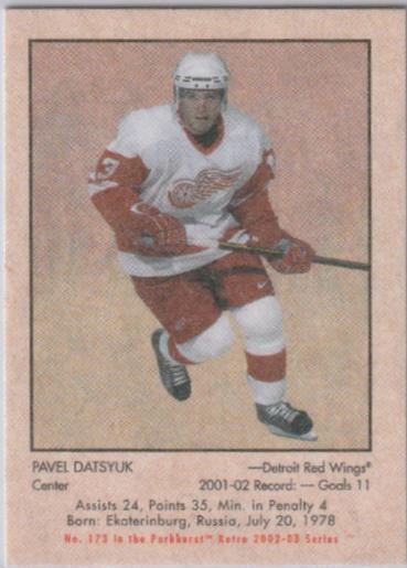 Pavel Datsyuk #173