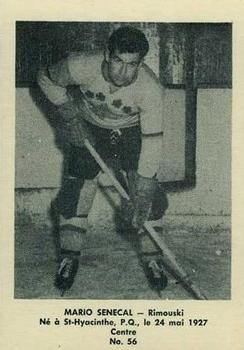 Jason Schewinsberg #24