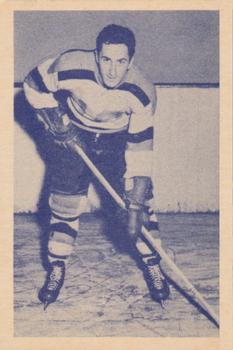 Steve Staios #29