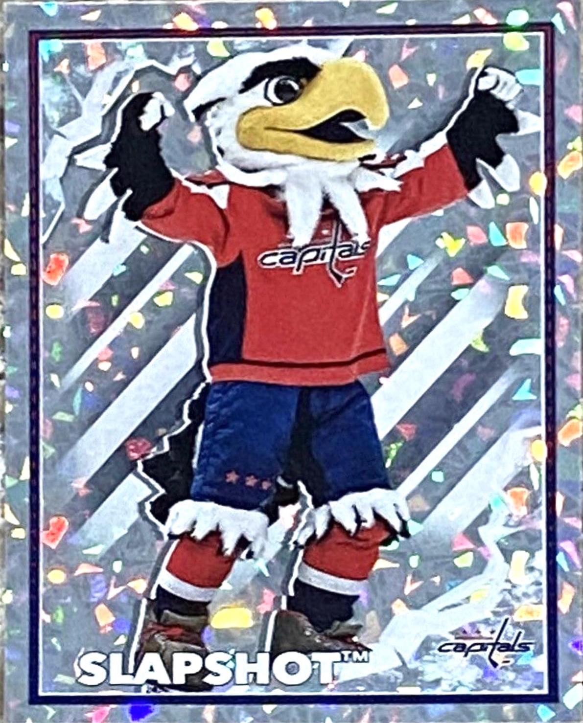 Slapshot #513