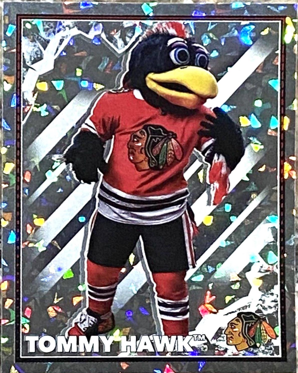 Tommy Hawk #105