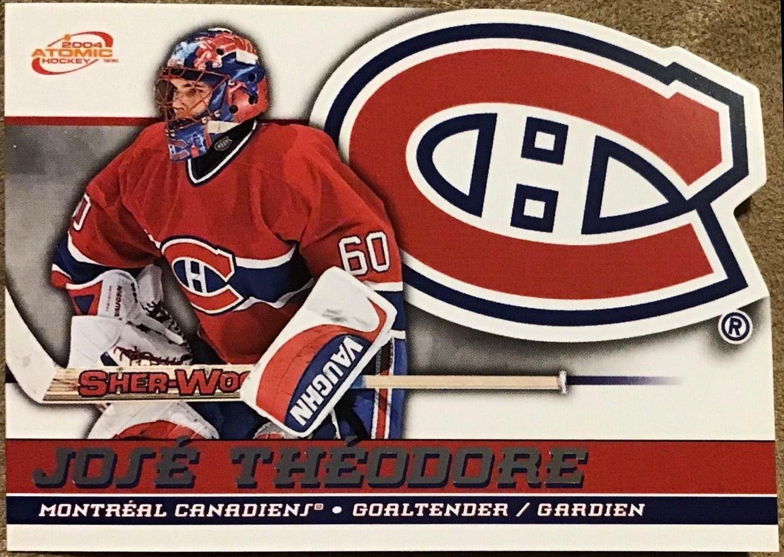 Jose Theodore #29