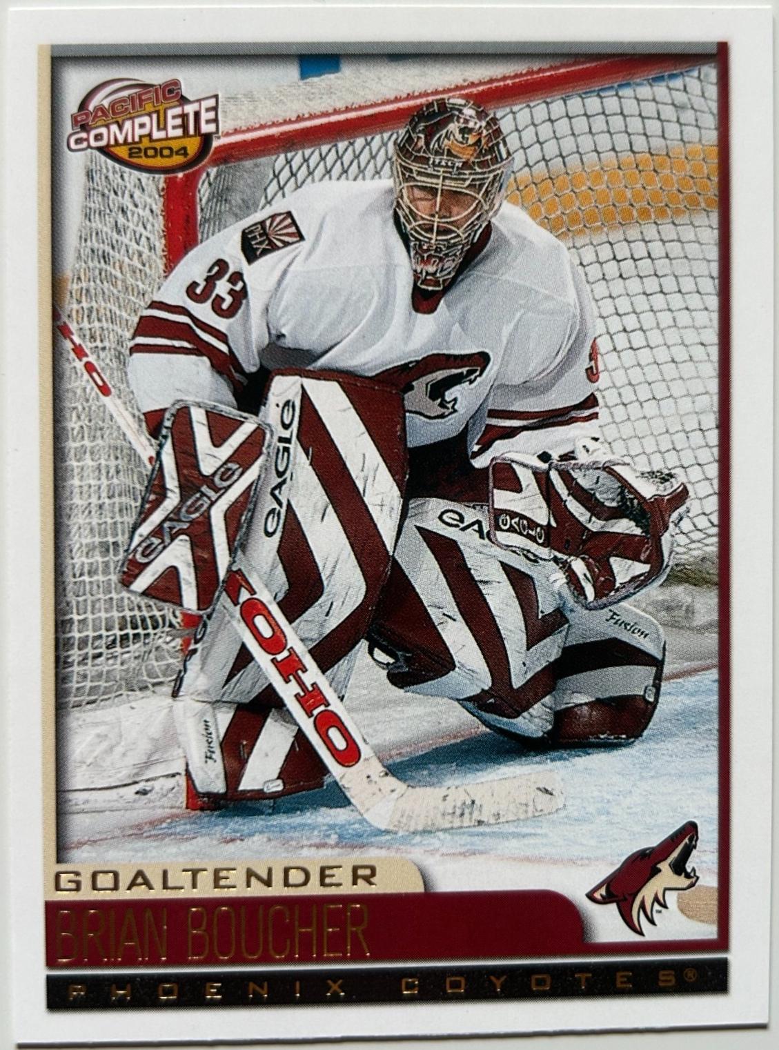 Brian Boucher #456