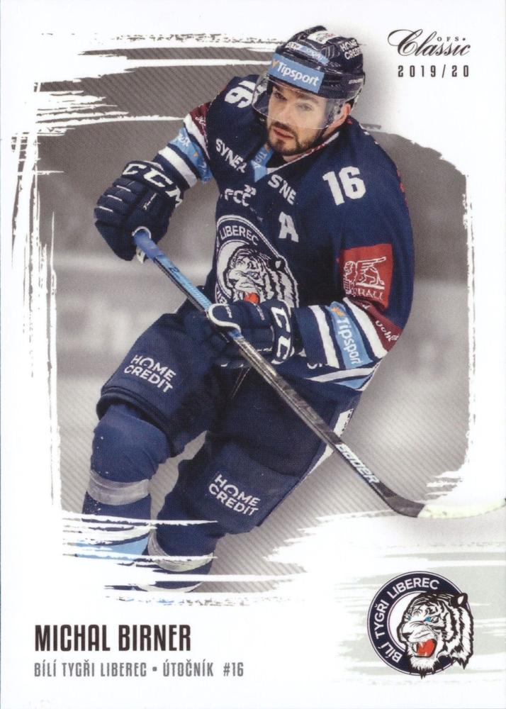 Michal Birner #31