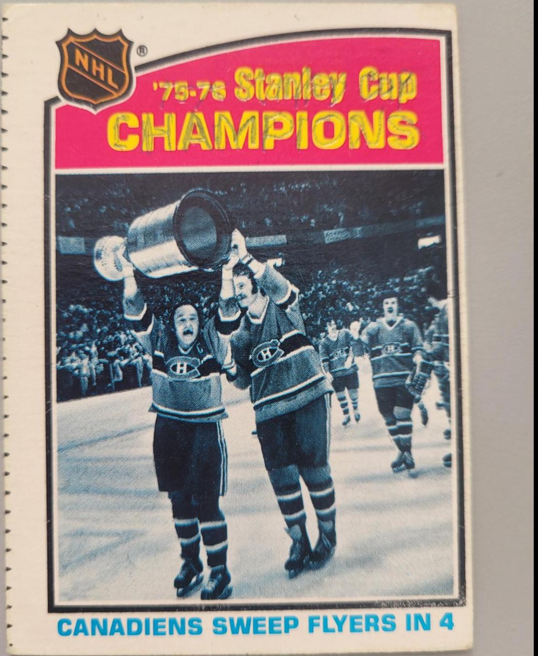 Stanley Cup Champs #264