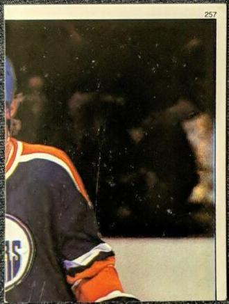 Wayne Gretzky #257