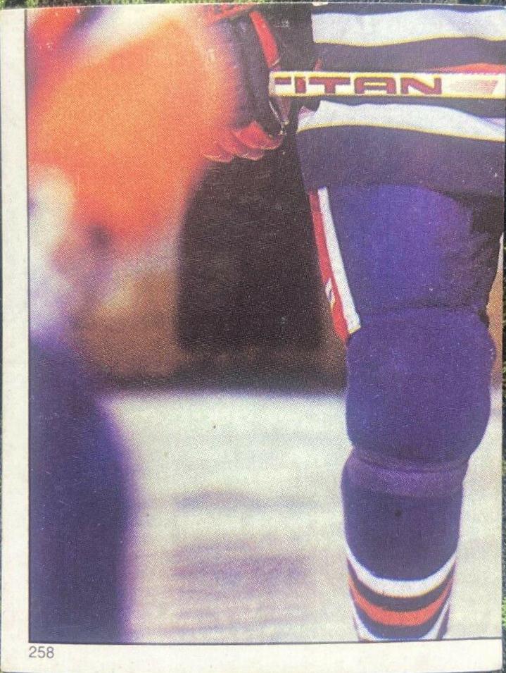 Wayne Gretzky #258