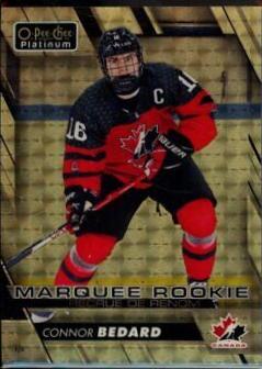 Connor Bedard [Golden Treasure] #P-CB