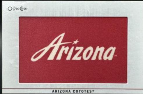 Arizona Coyotes #374