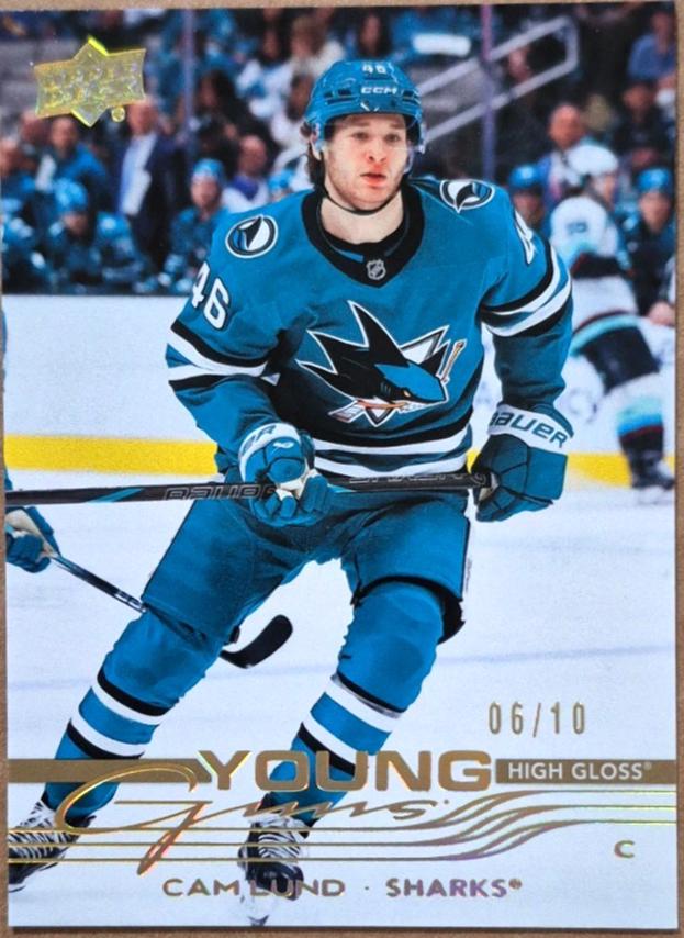 Cam Lund [High Gloss] #242