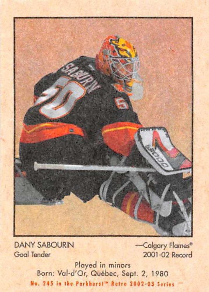 Dany Sabourin #245