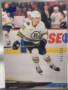 Brandon Carlo #17