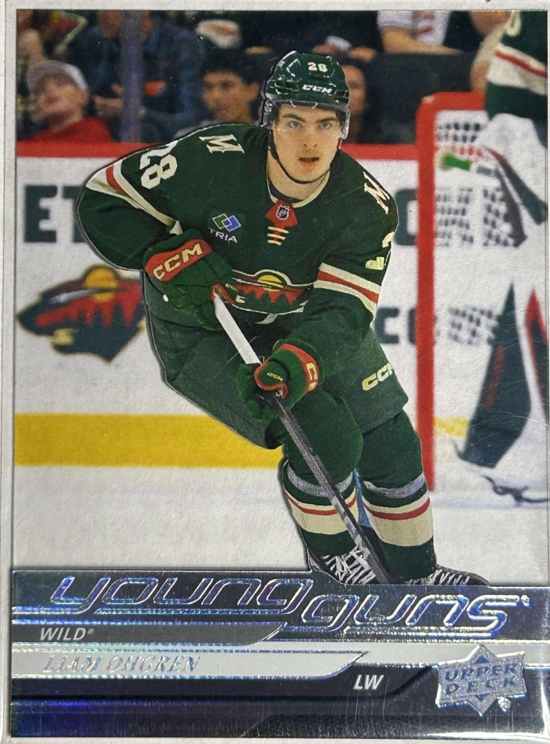 Liam Ohgren [Acetate] #248