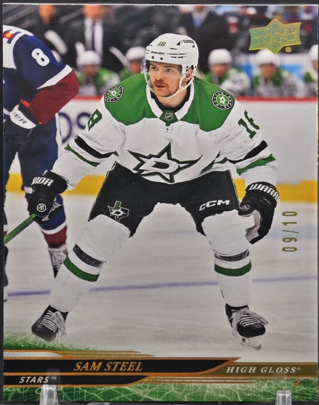 Sam Steel [High Gloss] #302