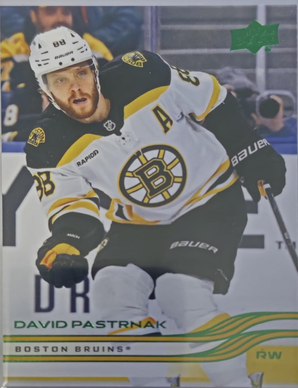 David Pastrnak [Holiday] #7