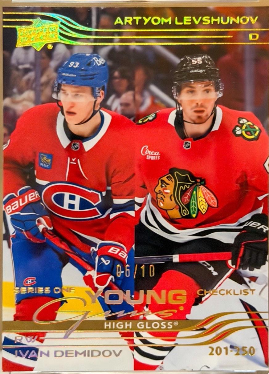 Ivan Demidov / Artyom Levshunov [High Gloss] #250