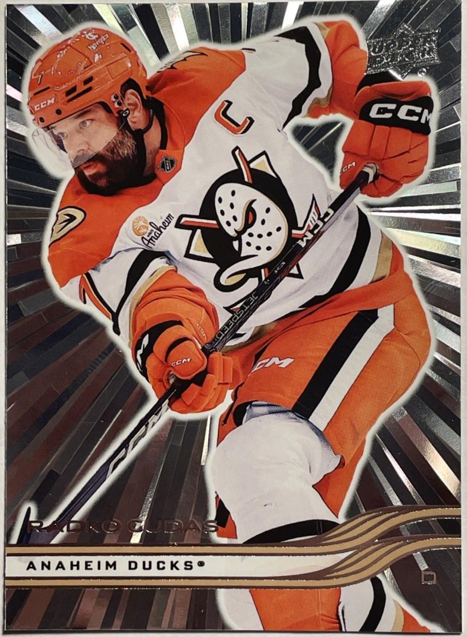 Radko Gudas [Outburst] #4