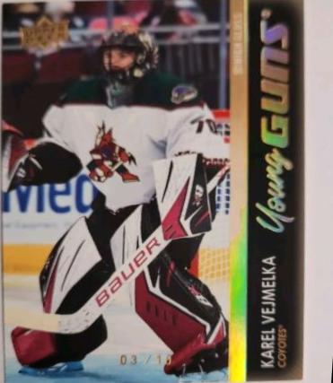 Karel Vejmelka [High Gloss] #458