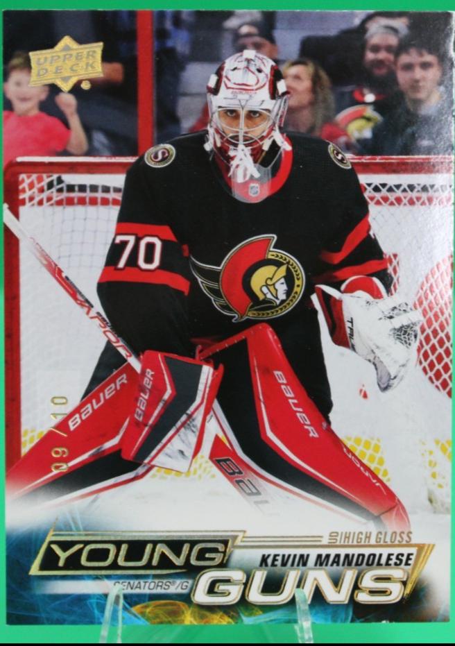 Kevin Mandolese [High Gloss] #481