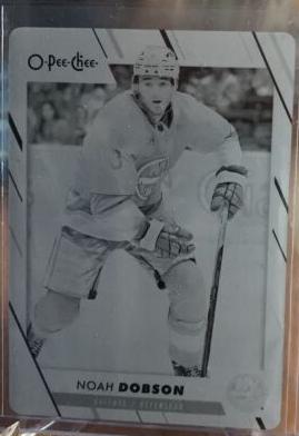 Noah Dobson [Printing Plate] #324