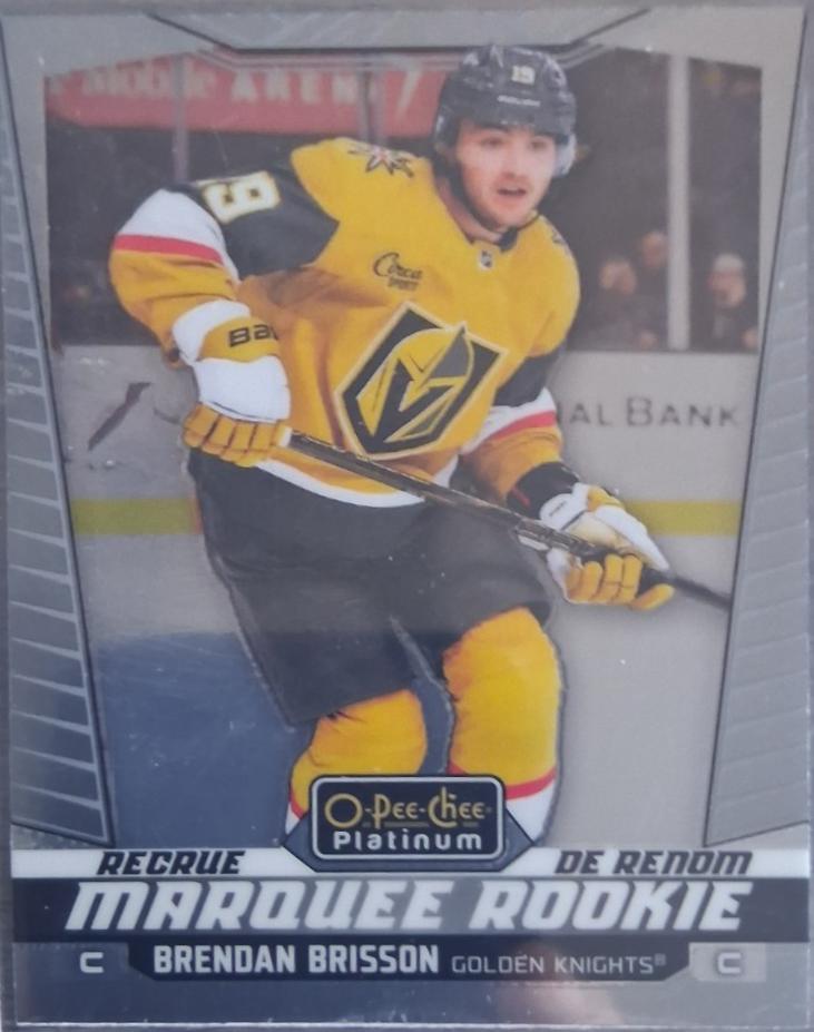 Brendan Brisson #262