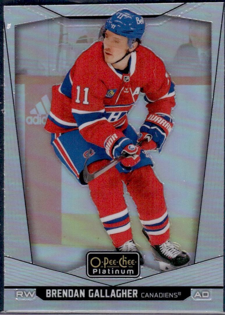Brendan Gallagher #147