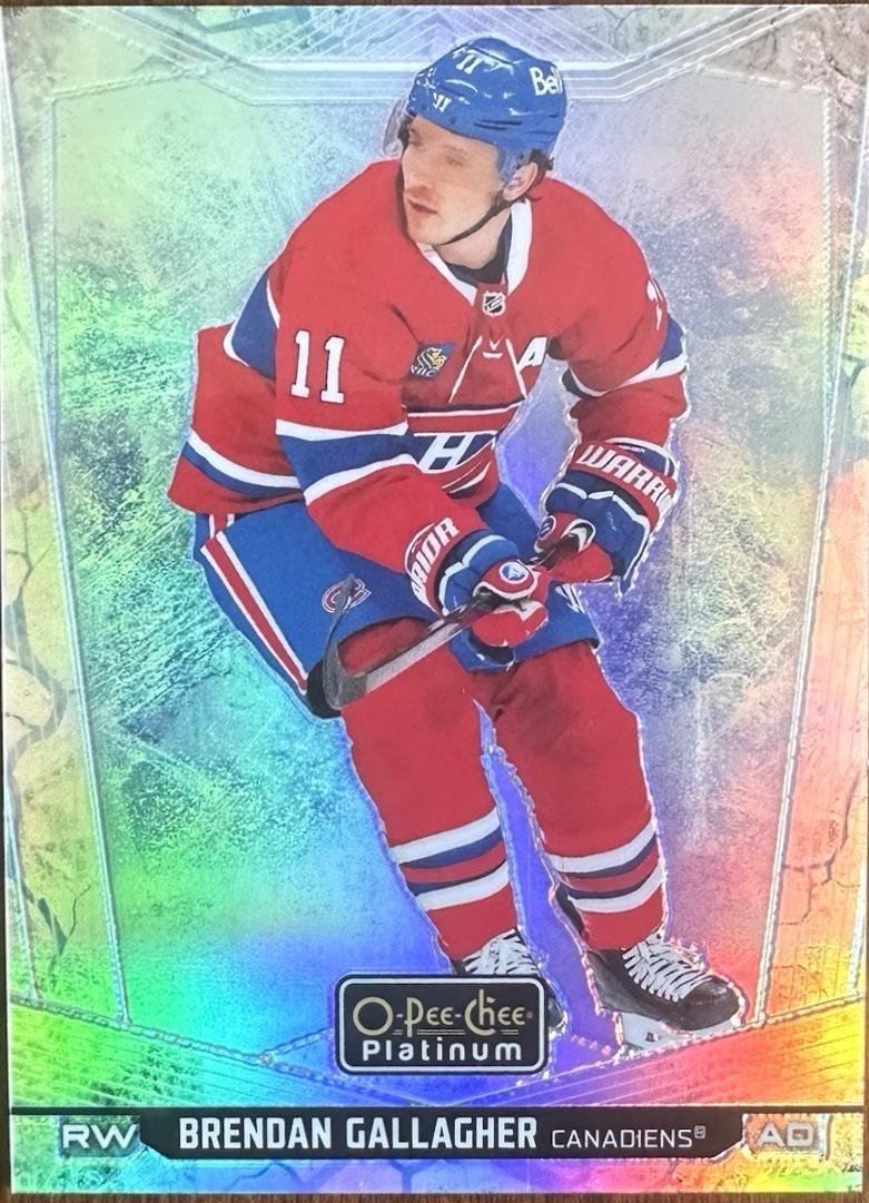 Brendan Gallagher [Arctic Freeze] #147