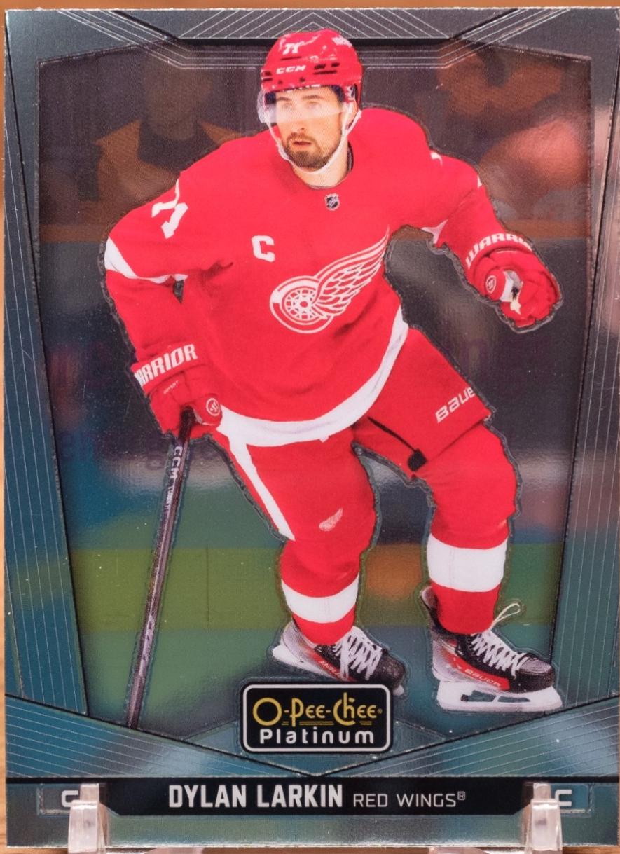 Dylan Larkin #113