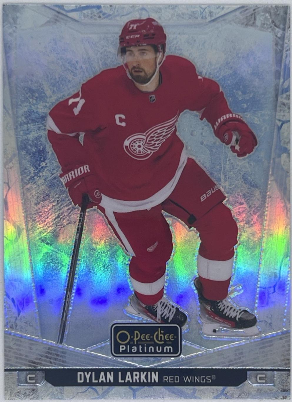 Dylan Larkin [Arctic Freeze] #113