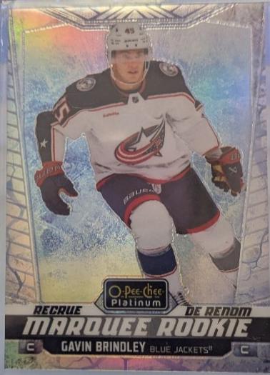 Gavin Brindley [Arctic Freeze] #229