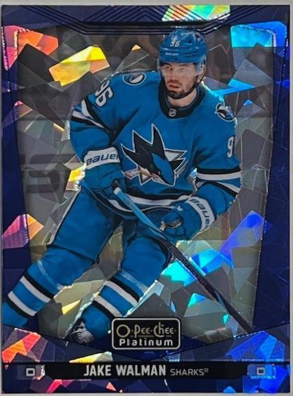 Jake Walman [Blue Fragments] #42