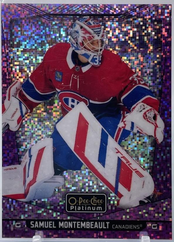 Samuel Montembeault [Violet Pixels] #96