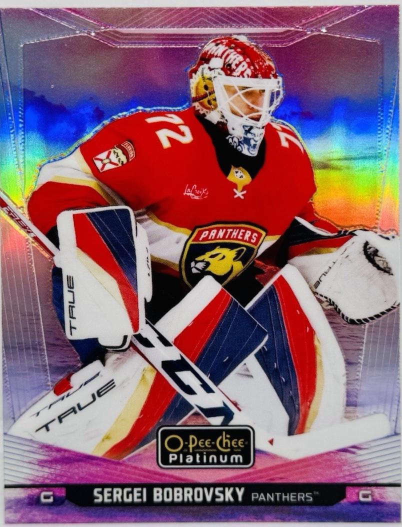 Sergei Bobrovsky [Sunset] #76