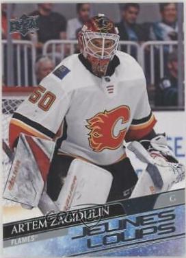 Artem Zagidulin [French] #244