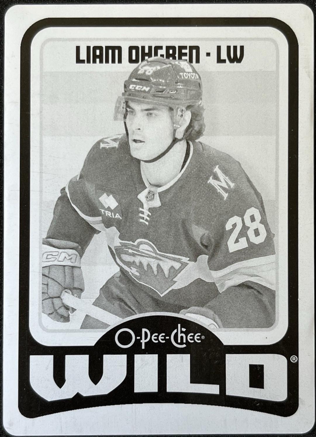 Liam Ohgren [Retro Printing Plate] #576