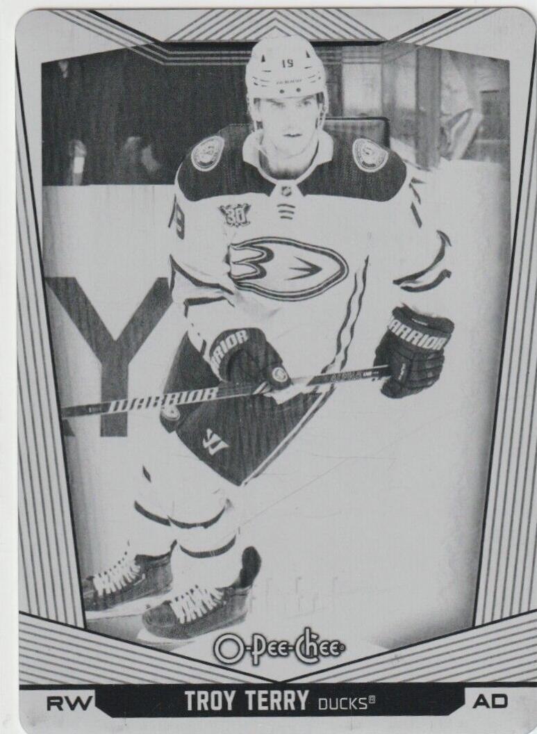 Troy Terry [Printing Plate] #13