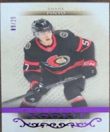 Shane Pinto [Purple] #176