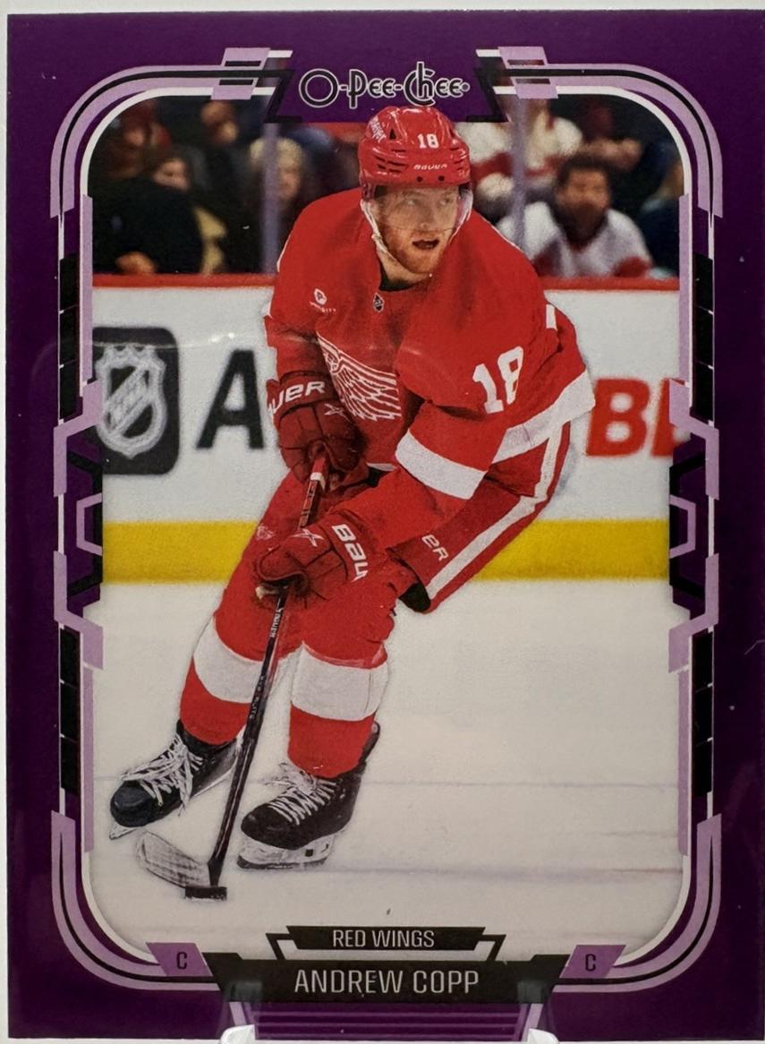 Andrew Copp [Purple Border] #242