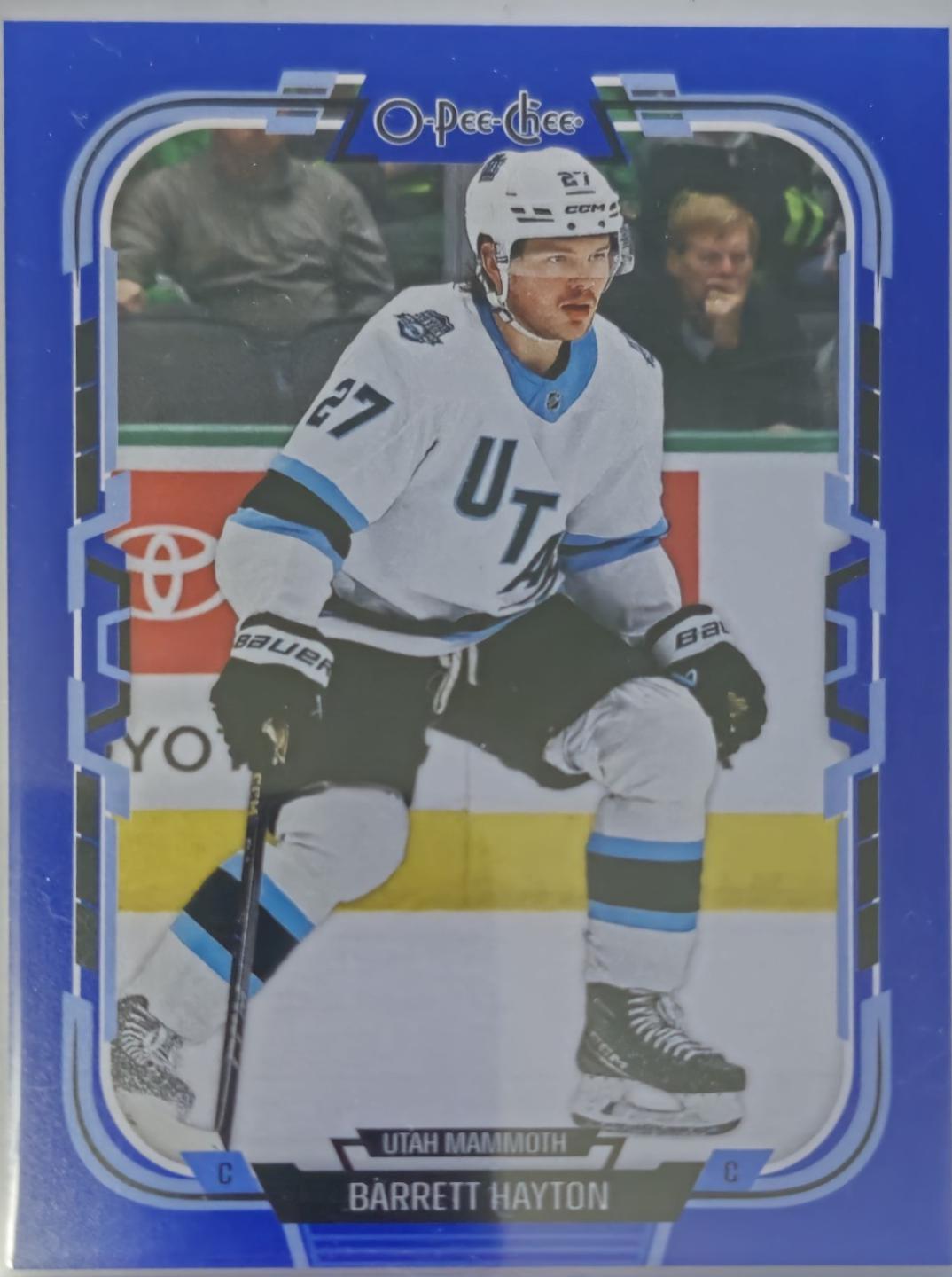 Barrett Hayton [Blue Border] #355