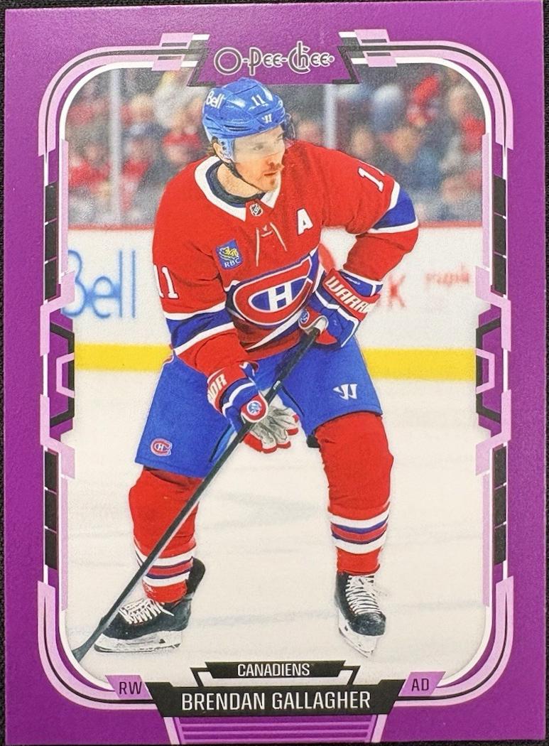 Brendan Gallagher [Purple Border] #188