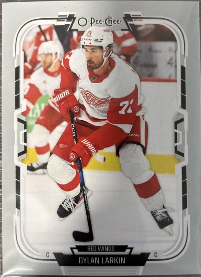 Dylan Larkin #272