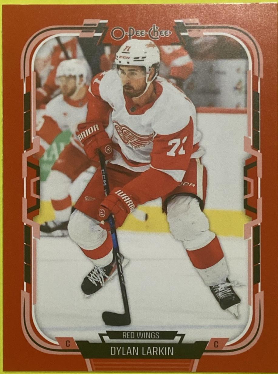 Dylan Larkin [Red Border] #272