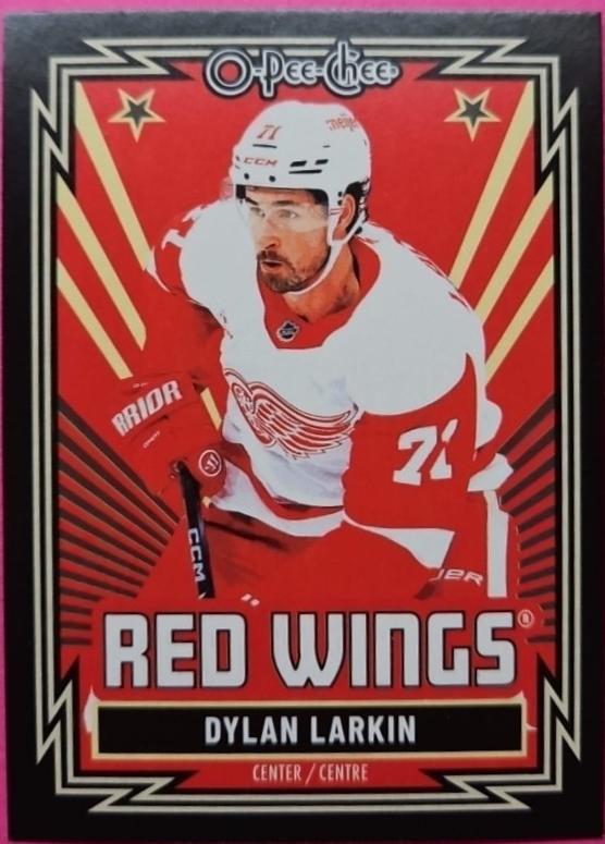 Dylan Larkin [Retro Black Border] #272