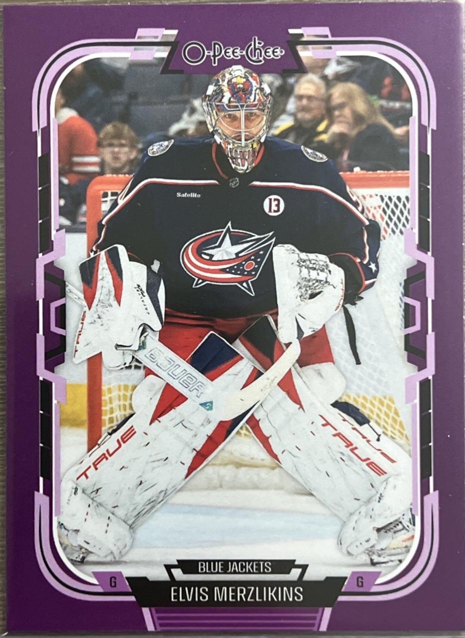Elvis Merzlikins [Purple Border] #377