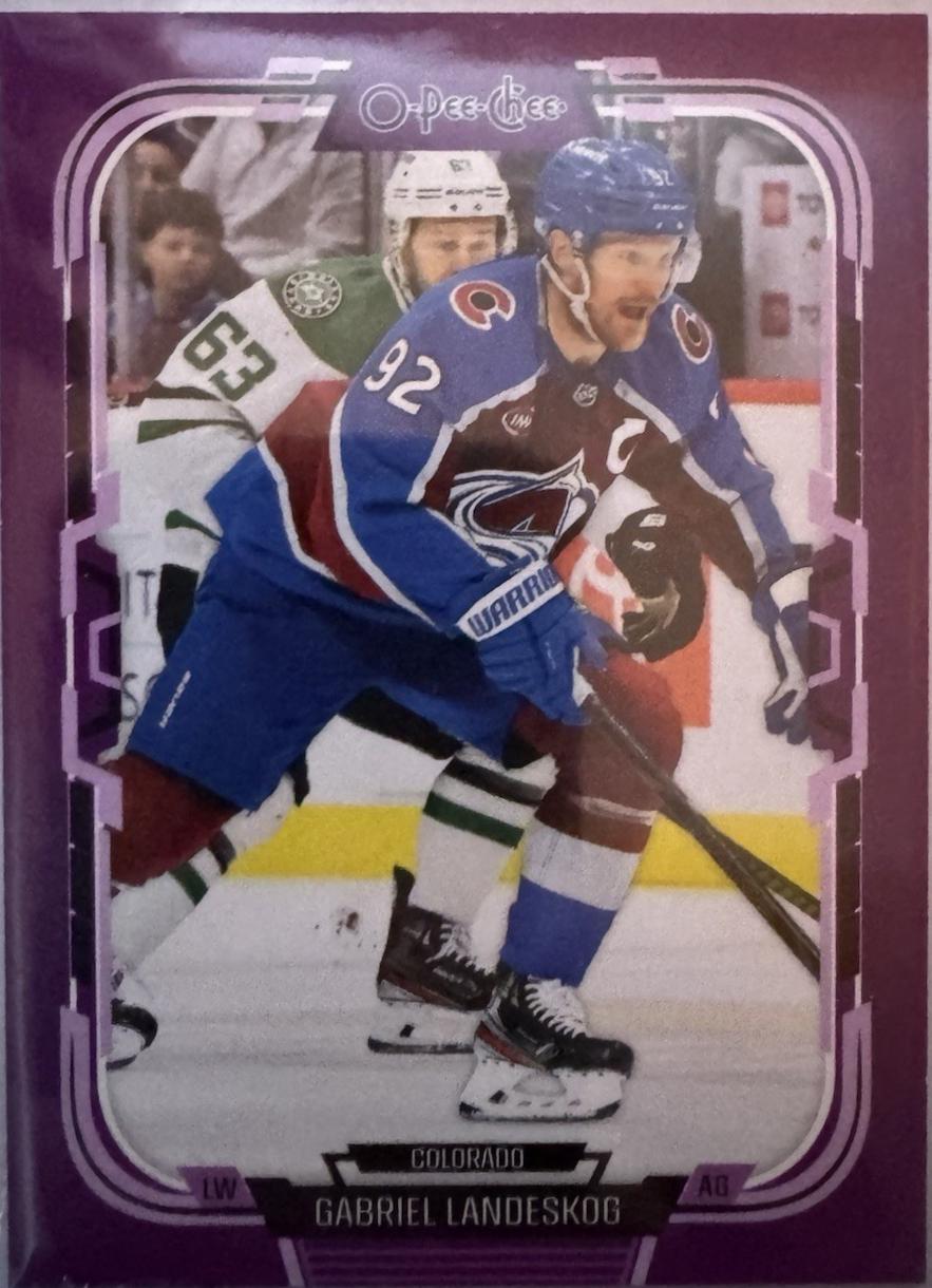 Gabriel Landeskog [Purple Border] #477