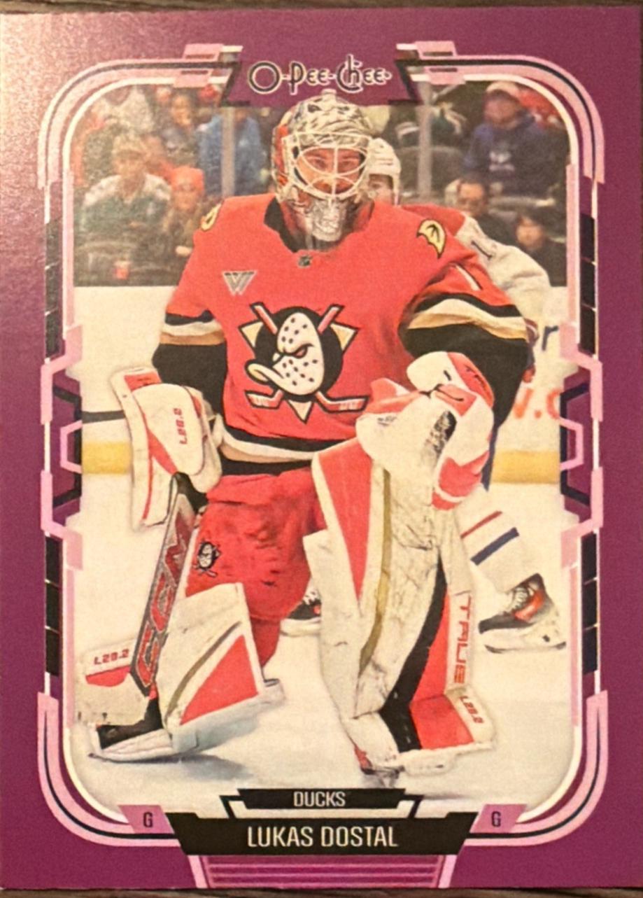 Lukas Dostal [Purple Border] #380