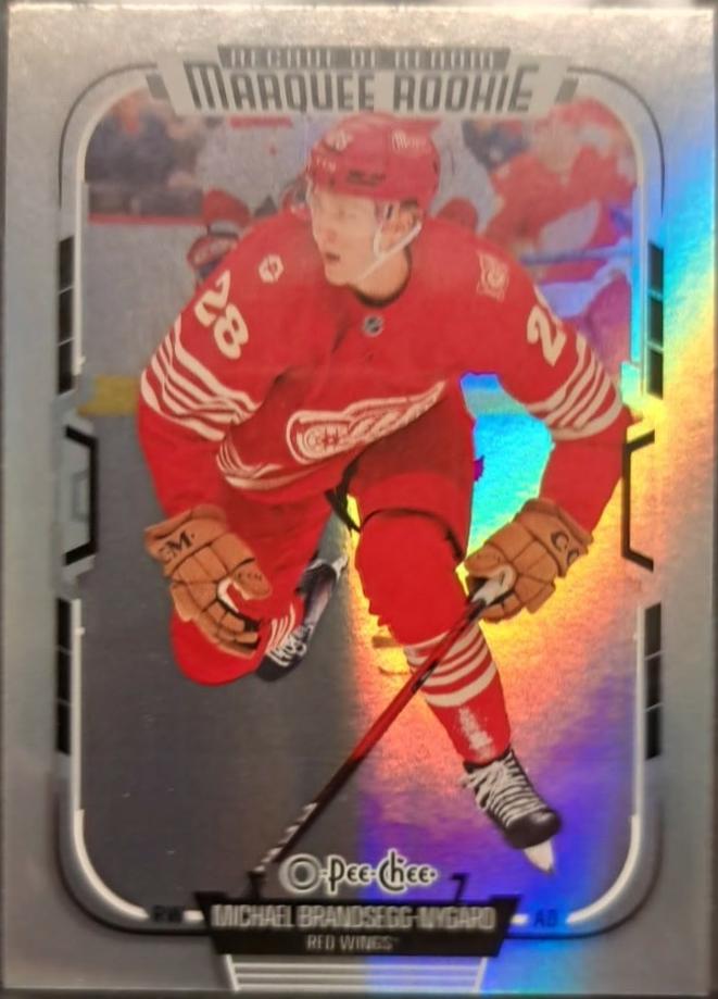 Michael Brandsegg-Nygard [Rainbow Foil] #584